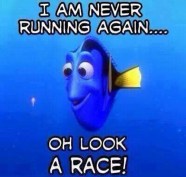 never run again