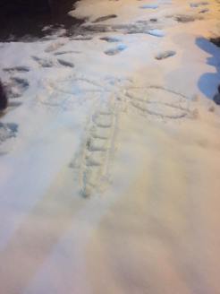 CM snow art
