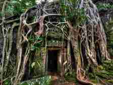 Cambodia-angkor-wat-doorway
