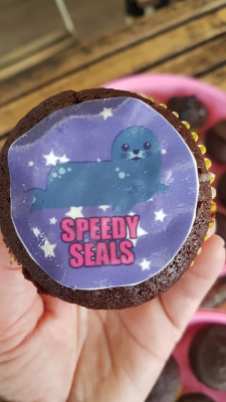 speedy seals
